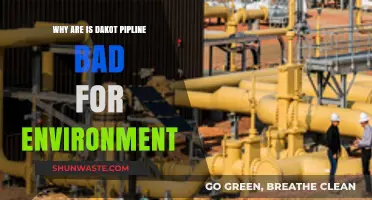 Dakota Pipeline's Environmental Impact: Threats to Ecosystems and Communities