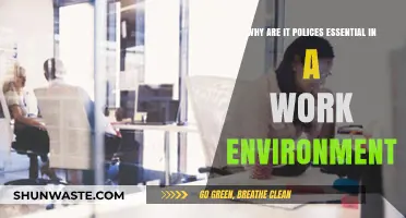 Essential IT Policies: Safeguarding Productivity and Security in Workplaces