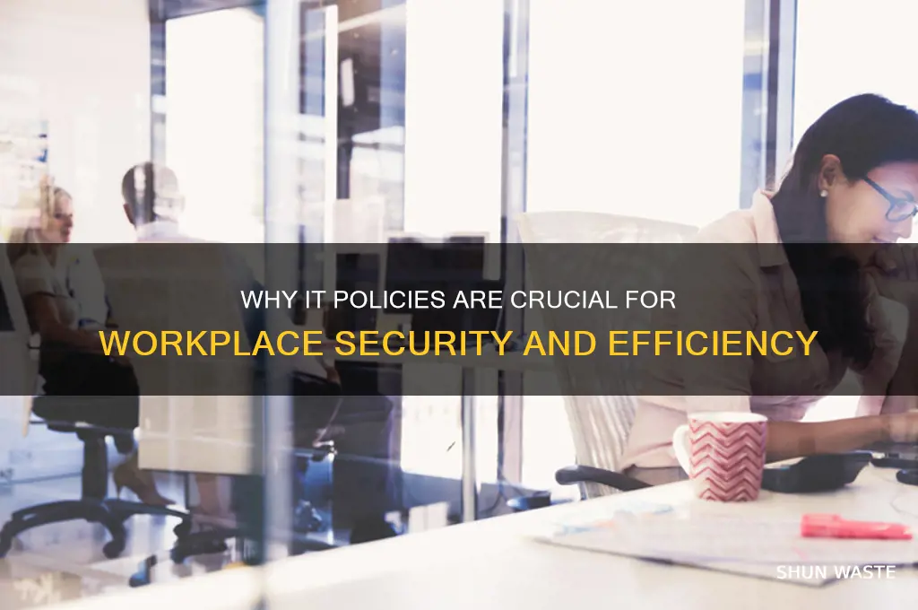 why are it policies essential in a work environment