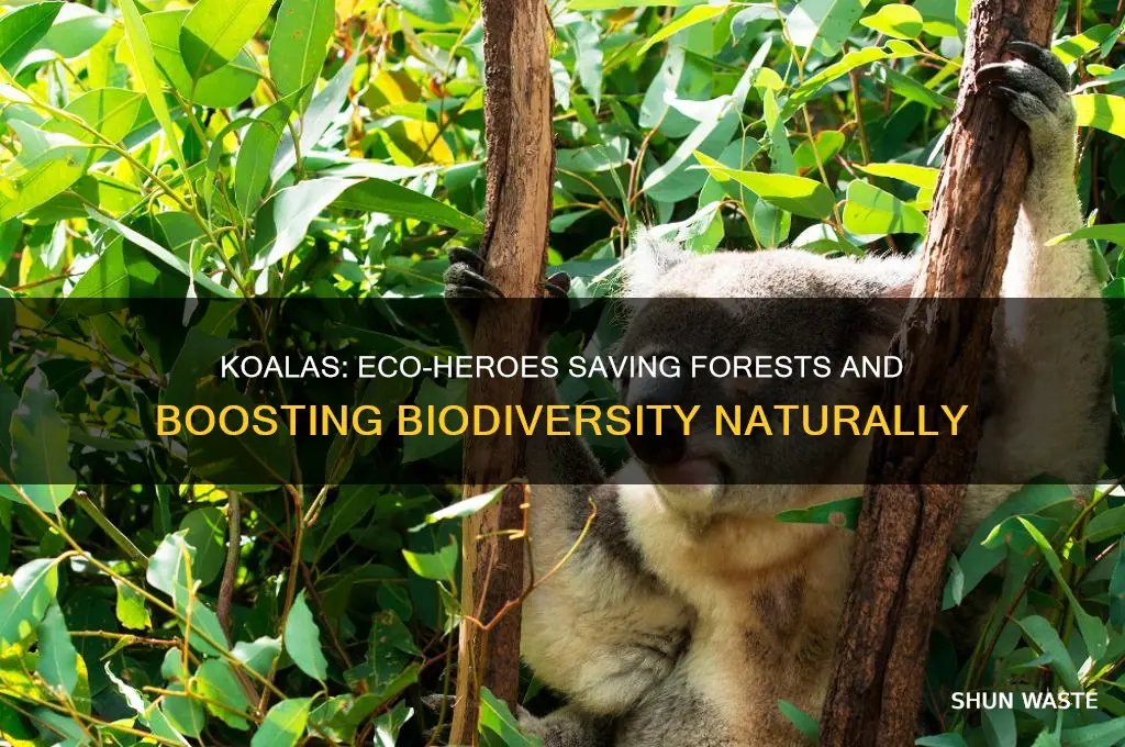 why are koalas good for the environment