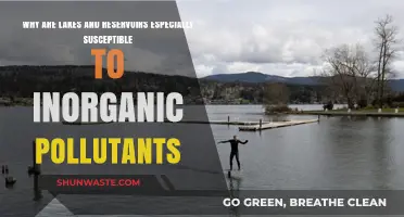 Lakes and Reservoirs: Vulnerable Ecosystems for Inorganic Pollution Threats