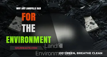 Landfills' Devastating Impact: Environmental Hazards and Sustainable Alternatives