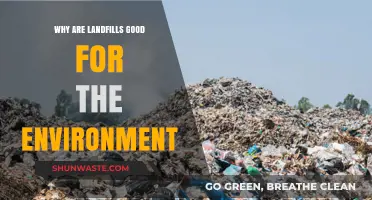 Landfills: Uncovering Surprising Environmental Benefits and Sustainable Practices