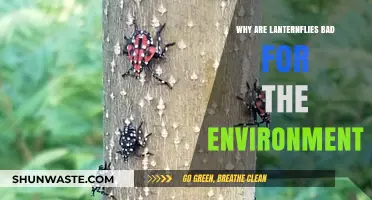Lanternflies' Environmental Impact: Harmful Effects on Ecosystems and Agriculture