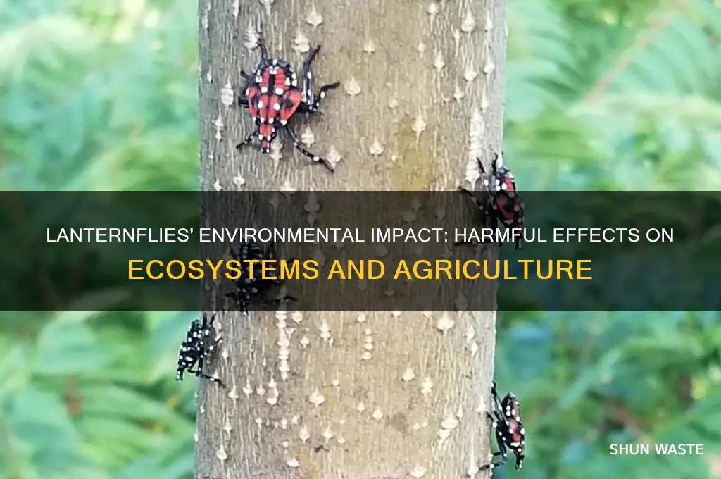 why are lanternflies bad for the environment