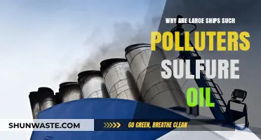 Sulfur-Laden Fuel: The Hidden Environmental Cost of Large Ships