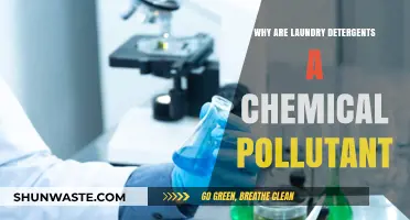Laundry Detergents: Unseen Chemical Pollutants Harming Our Waterways