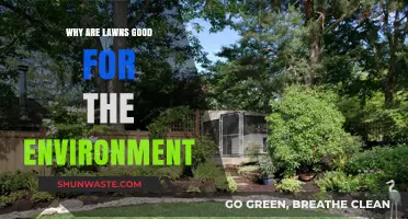 Eco-Friendly Lawns: Surprising Environmental Benefits of Green Spaces