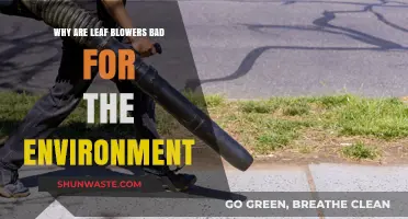 Leaf Blowers' Hidden Environmental Costs: Noise, Pollution, and Ecosystem Disruption