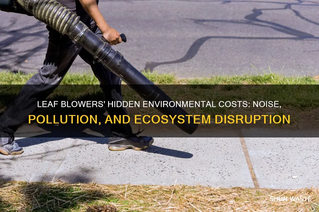 why are leaf blowers bad for the environment