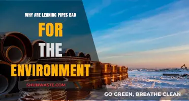 Leaking Pipes: Environmental Hazards and the Urgent Need for Repair