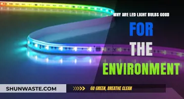 Eco-Friendly Lighting: How LED Bulbs Benefit Our Environment