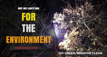 The Dark Side of Light Pollution: Environmental Impact and Solutions