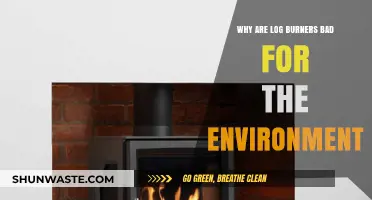Log Burners' Environmental Impact: Uncovering the Hidden Ecological Costs