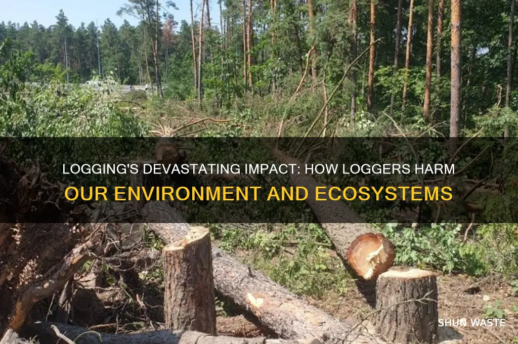 why are loggers bad for the environment