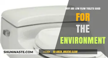 Eco-Friendly Flushing: How Low Flow Toilets Save Water and Protect Nature
