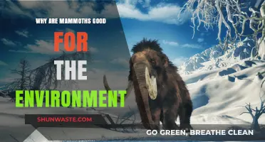 Mammoths' Surprising Role in Restoring Ecosystems and Combating Climate Change