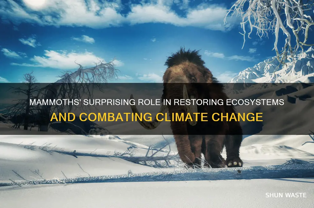 why are mammoths good for the environment