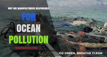 Manufacturers' Role in Ocean Pollution: Accountability and Environmental Impact