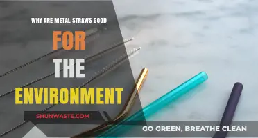 Eco-Friendly Sipping: How Metal Straws Benefit Our Planet