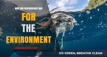 Microbeads' Environmental Impact: Harmful Effects on Ecosystems and Wildlife
