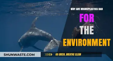 Microplastics' Devastating Impact: Uncovering Their Harmful Effects on Ecosystems