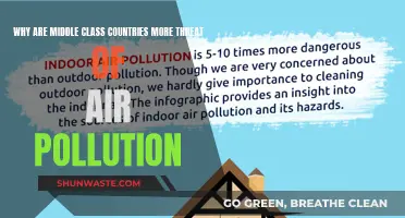 Air Pollution: Middle Class Countries at Risk