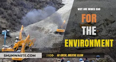 Mining's Devastating Impact: Environmental Destruction and Ecosystem Collapse Explained