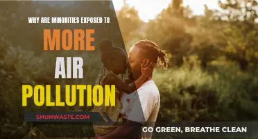 Urban Inequality: Pollution's Impact on Minorities