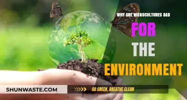 Monocultures' Environmental Impact: Biodiversity Loss and Ecosystem Vulnerability Explained