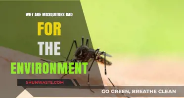 Mosquitoes' Environmental Impact: Harmful Effects on Ecosystems and Wildlife