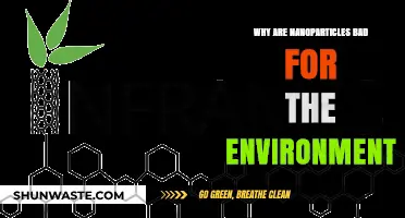 Nanoparticles' Environmental Impact: Unseen Dangers and Ecological Consequences Explained