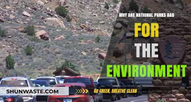National Parks' Environmental Impact: Uncovering Hidden Ecological Costs