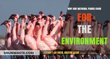National Parks: Vital Guardians of Biodiversity and Ecosystem Health