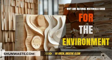 Natural Materials: Eco-Friendly Choices for a Sustainable Future