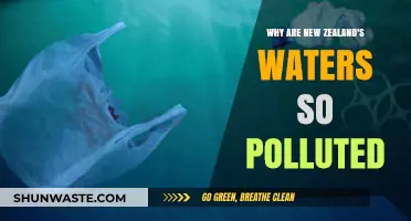 Unveiling the Crisis: New Zealand's Water Pollution Explained