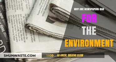 Newspapers' Environmental Impact: Uncovering the Hidden Ecological Costs