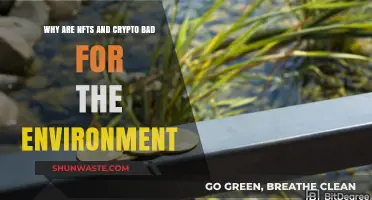 NFTs and Crypto's Dark Side: Environmental Impact Explained