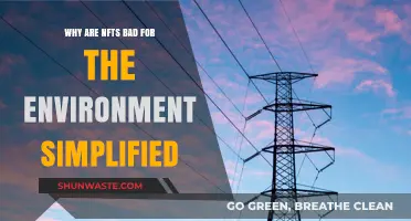NFTs' Environmental Impact: A Simplified Look at Their Carbon Footprint