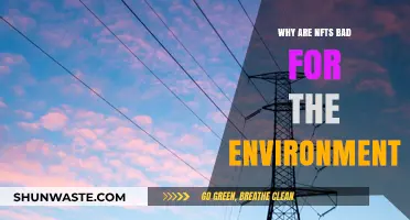 NFTs' Environmental Impact: Uncovering the Hidden Ecological Costs of Digital Art