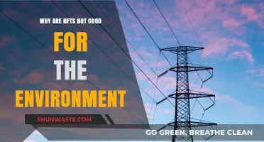 NFTs' Environmental Impact: Unsustainable Energy Consumption and Ecological Concerns