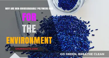 Non-Biodegradable Polymers: Environmental Hazards and Sustainable Alternatives