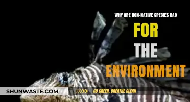 Invasive Species: Environmental Threats and Ecosystem Disruption Explained