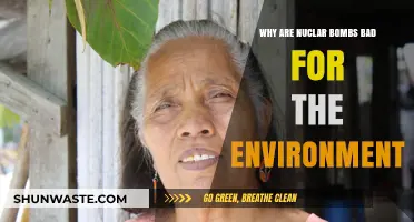 Nuclear Bombs' Devastating Environmental Impact: Long-Term Consequences Explained