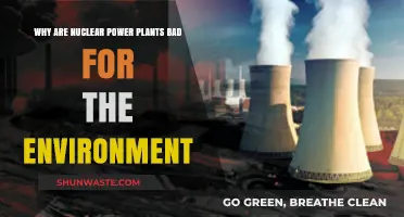 Nuclear Power Plants: Environmental Risks and Long-Term Ecological Consequences
