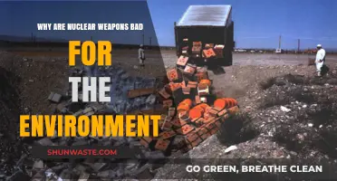 Nuclear Weapons' Devastating Environmental Impact: A Threat to Our Planet