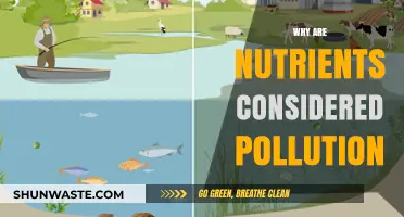 Excess Nutrients: How They Pollute Ecosystems and Harm the Environment