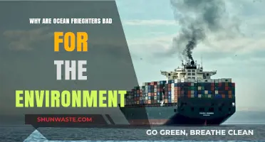 Ocean Freighters' Environmental Impact: Pollution, Emissions, and Ecosystem Destruction