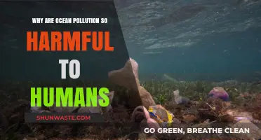 Ocean Pollution's Devastating Impact: How It Threatens Human Health and Survival