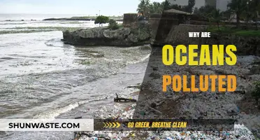 Ocean Pollution Crisis: Causes, Consequences, and Urgent Solutions Needed